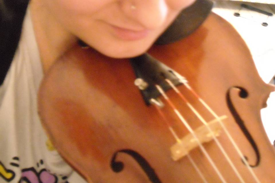 Violino