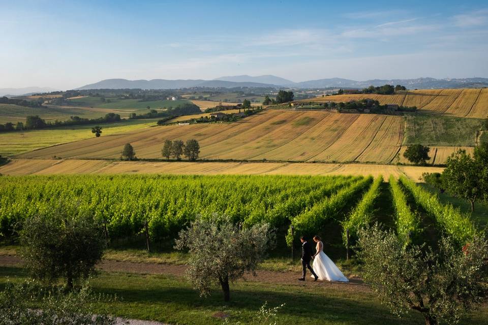 Tenuta dei mori