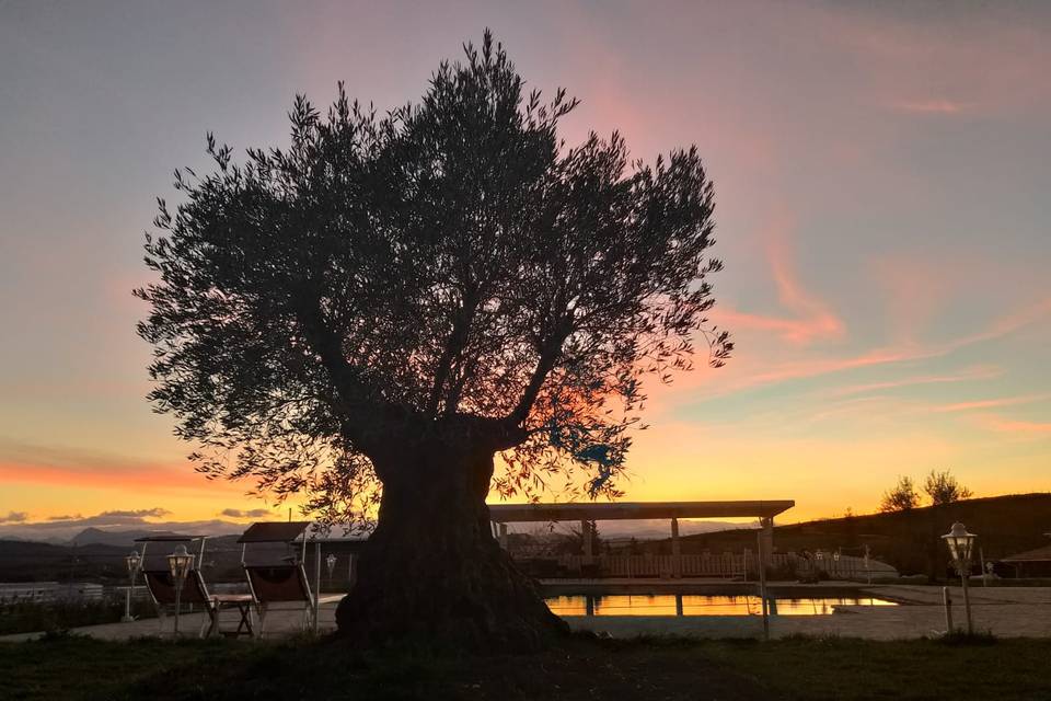 La Collina dei Cavalieri