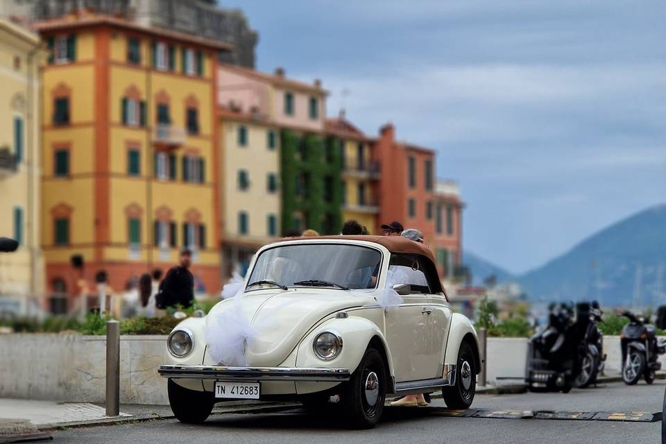 Vanilla Fire 1973