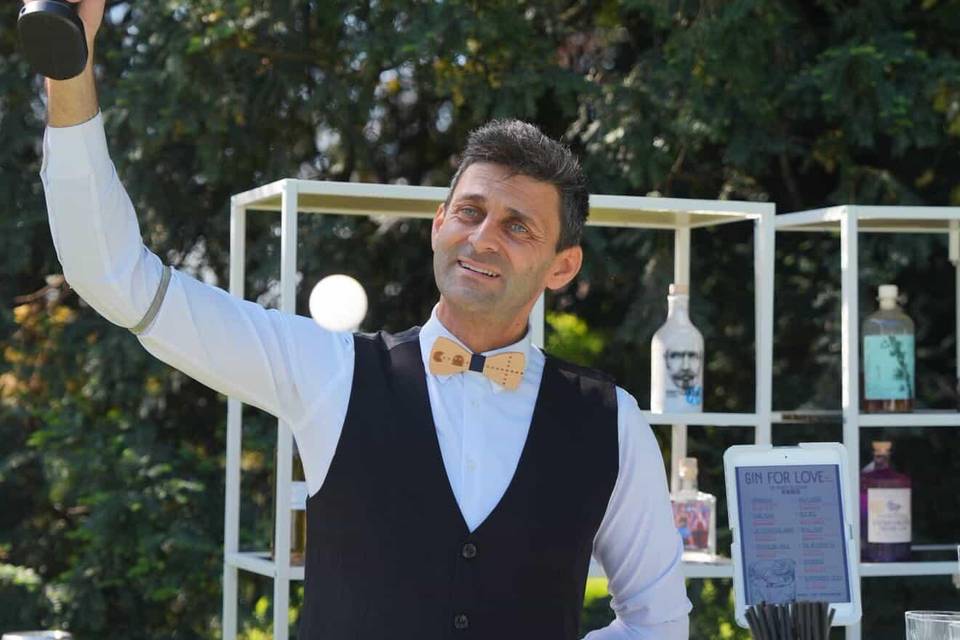 TooMuch Professional Bartender