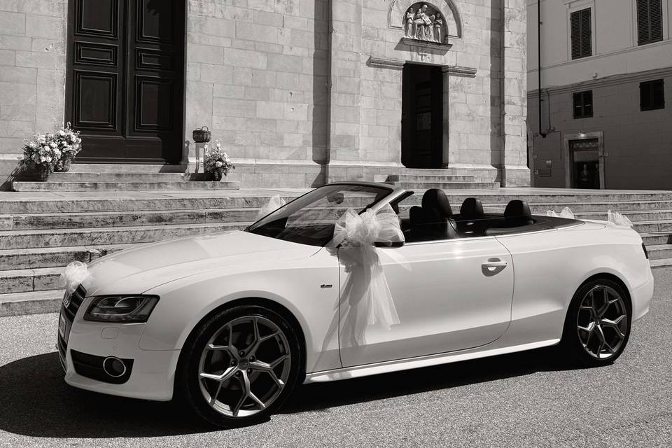 LadyLilia 4 Wedding