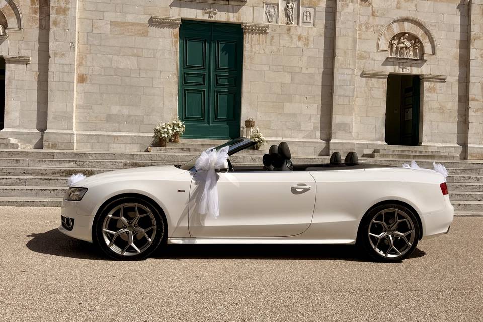 LadyLilia 4 Wedding