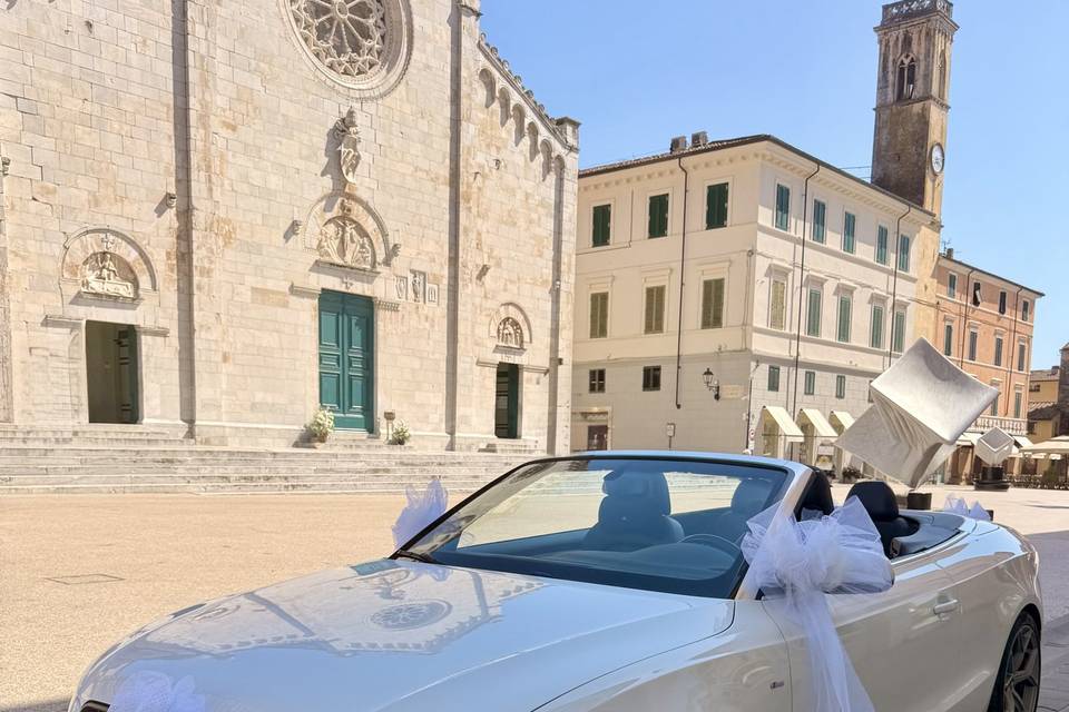 LadyLilia 4 Wedding