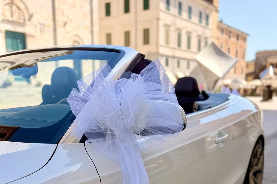 LadyLilia 4 Wedding