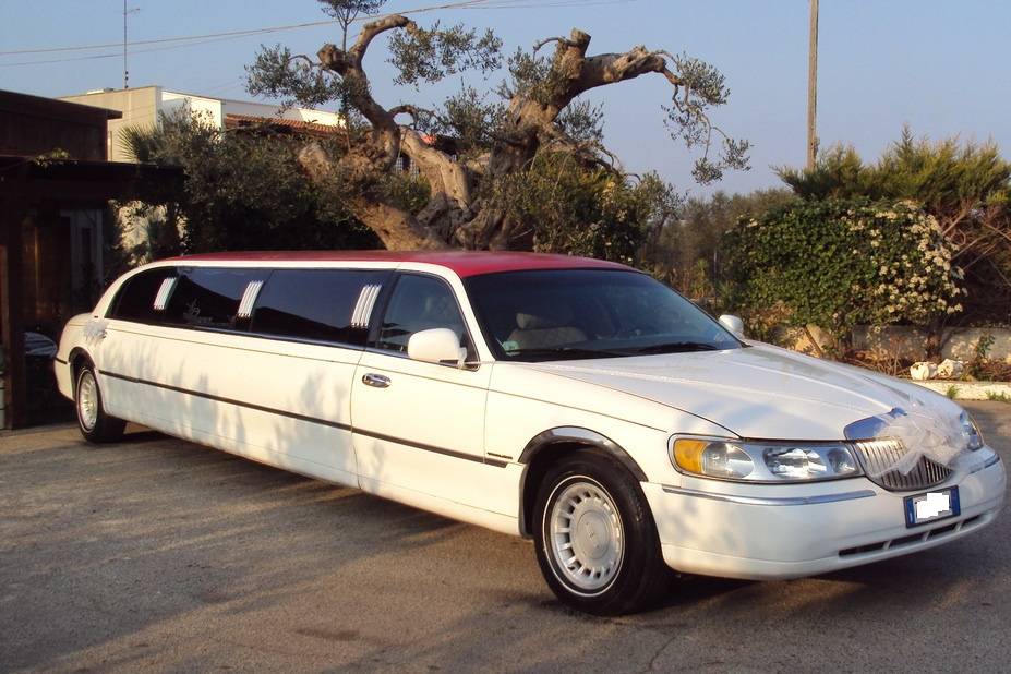 Limousine