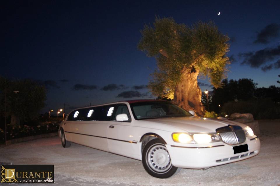 Limousine