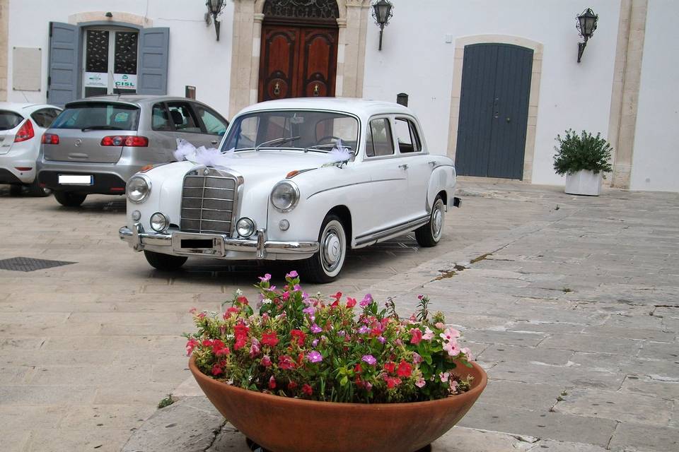 Mercedes ponton 220 anni '50