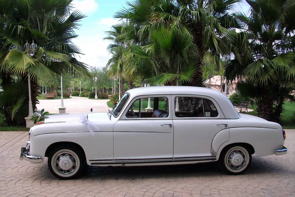 Mercedes ponton 220 anni '50