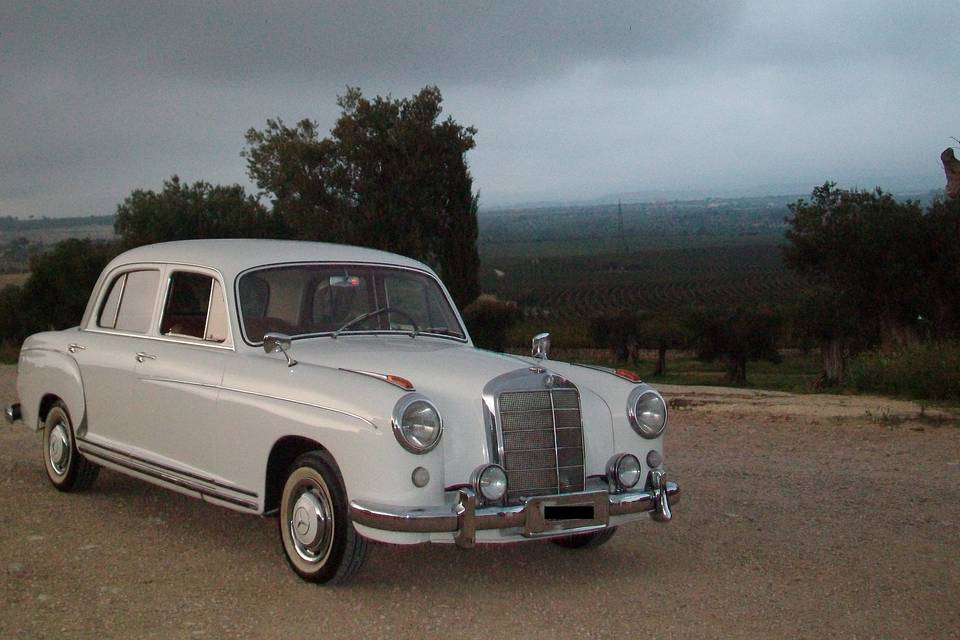 Mercedes ponton 220 anni '50