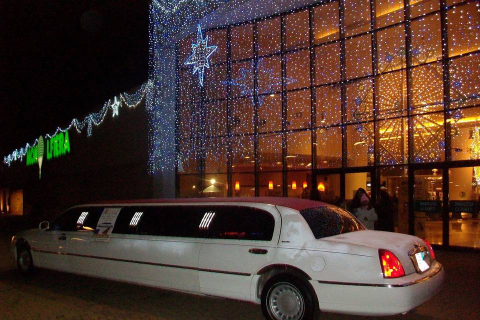 Limousine