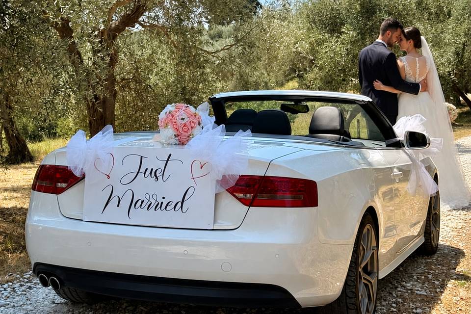 LadyLilia 4 Wedding