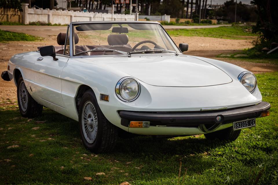 Alfa romeo spider bianco