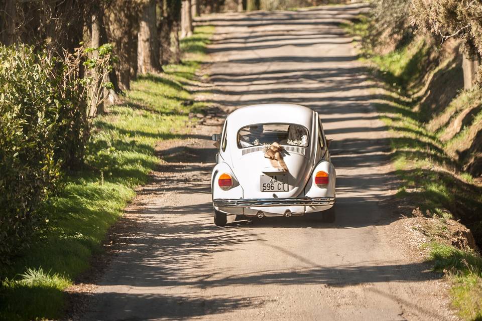 Spazioaperto fotografia di Rossana Lorenzetti