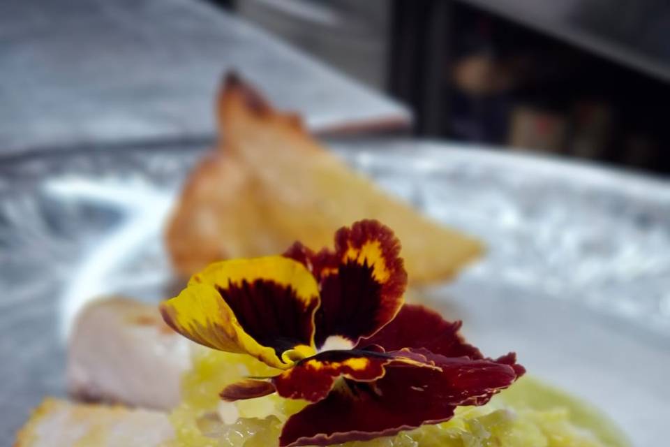 Piatto