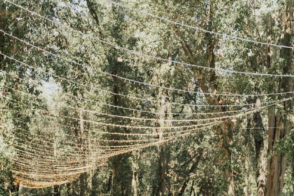 Arancia e Cannella di Alessia Acciarri