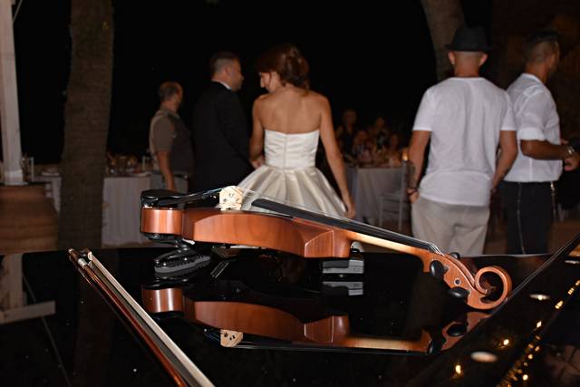 Violino & sposi