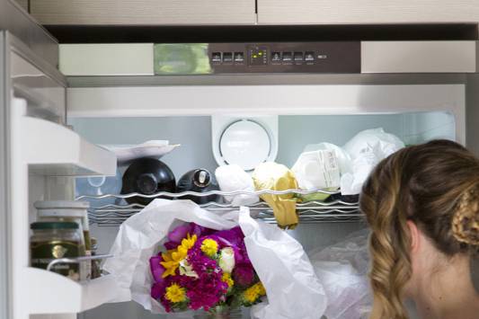 Il bouquet nel frigorifero