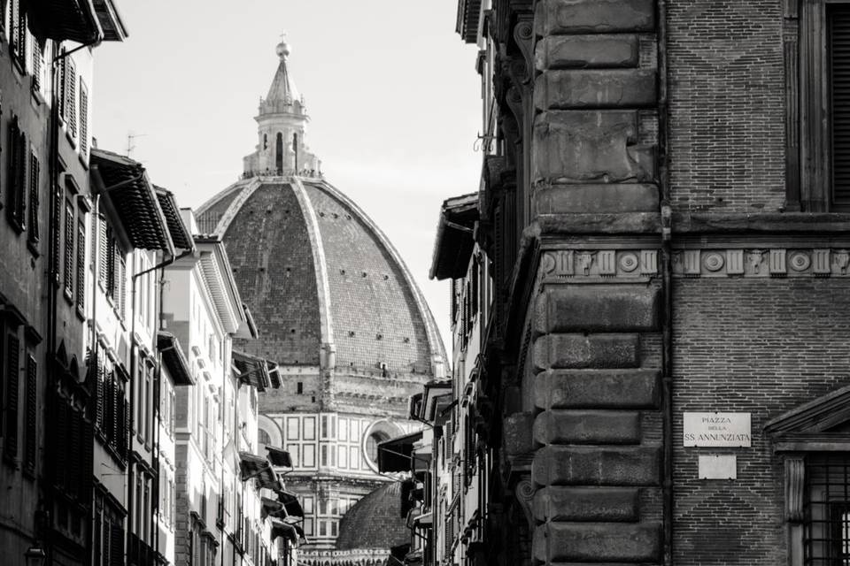 Vintagevan firenze