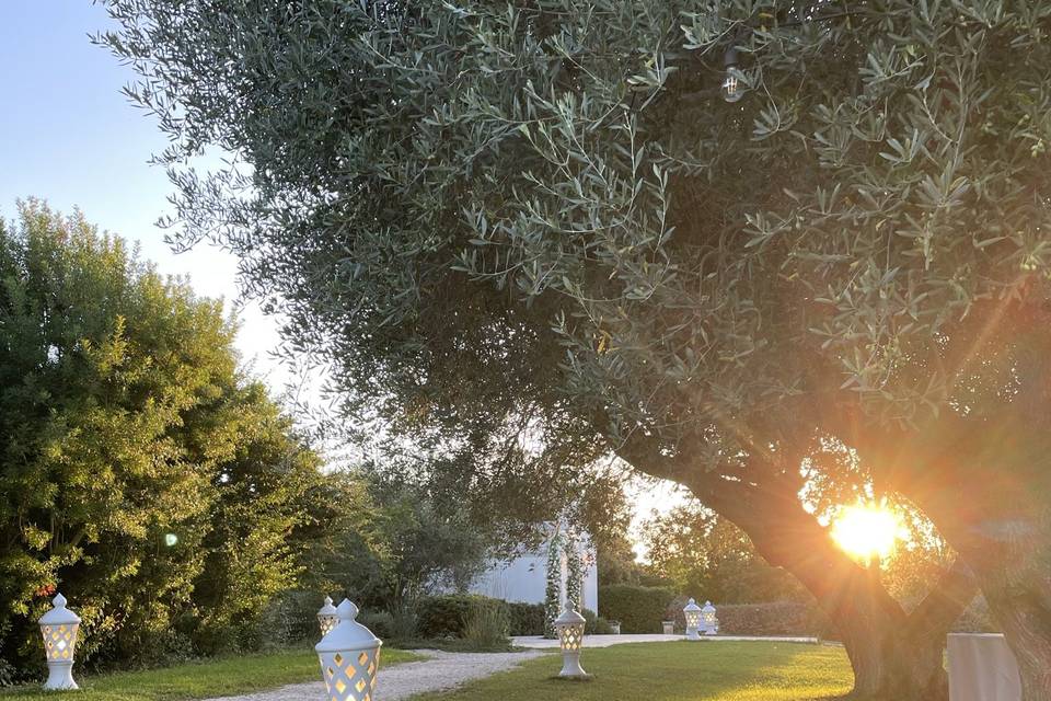 Masseria Magli Resort