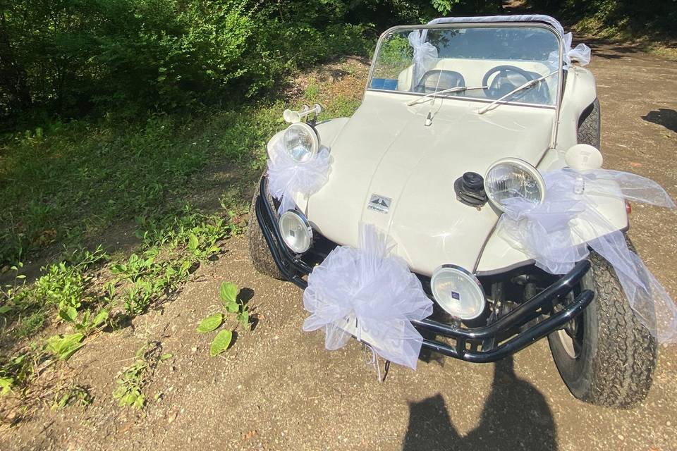 Wedding Car Buggy