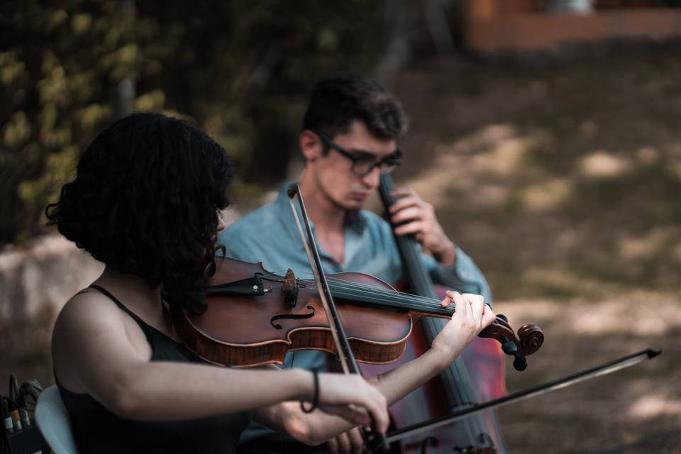 Organista e Violinista Albaro Strings