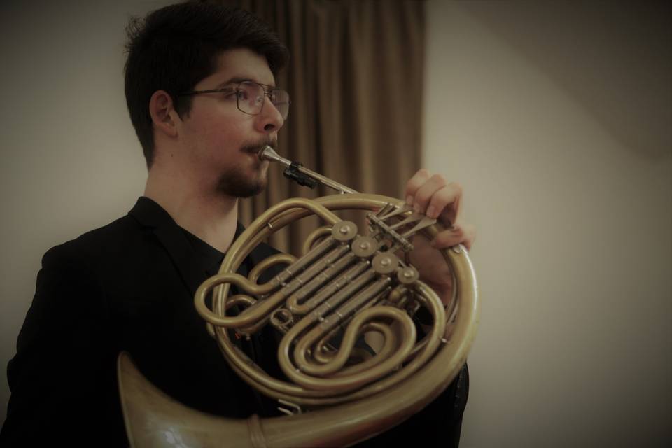 French Horn (Daniel)