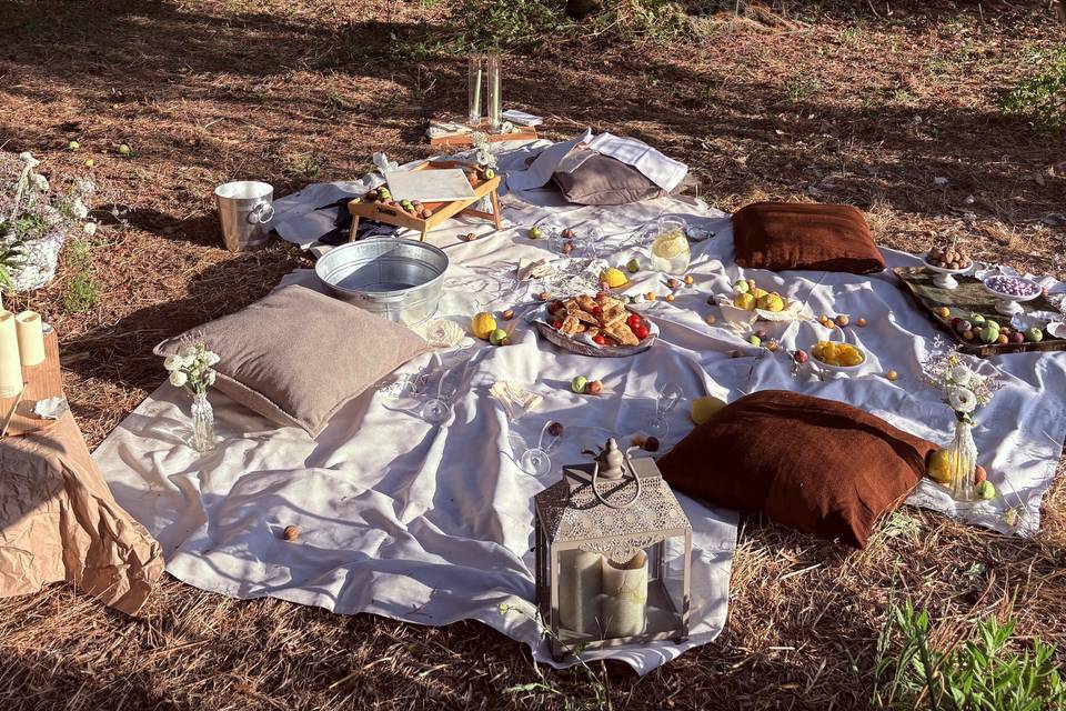 Picnic