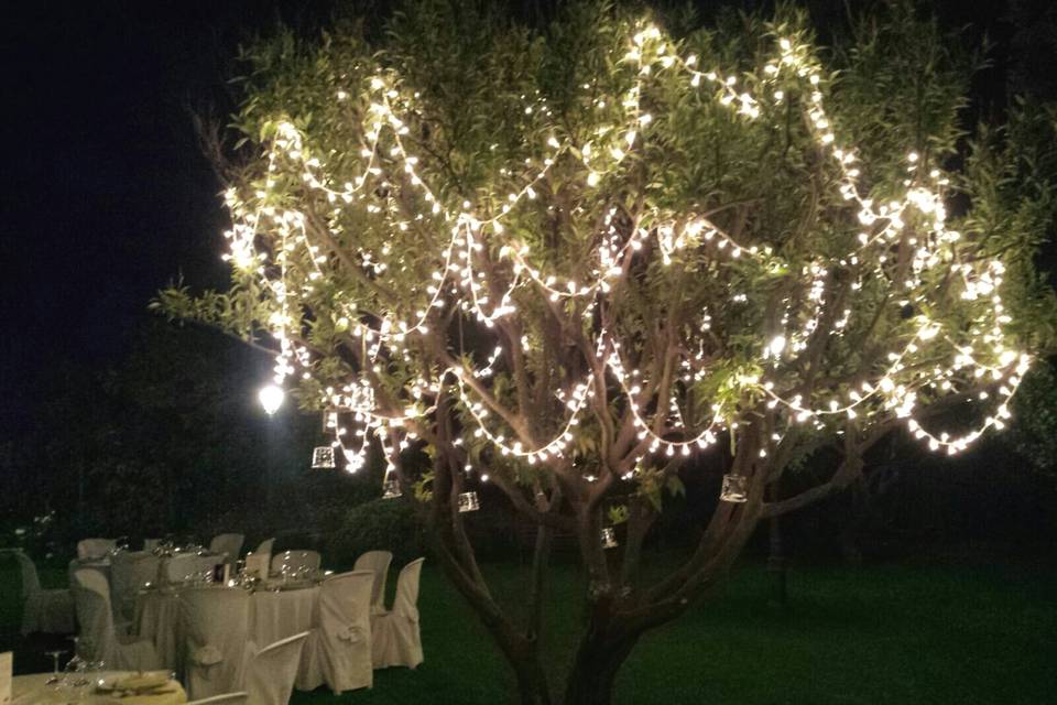 Illuminazione albero sposi