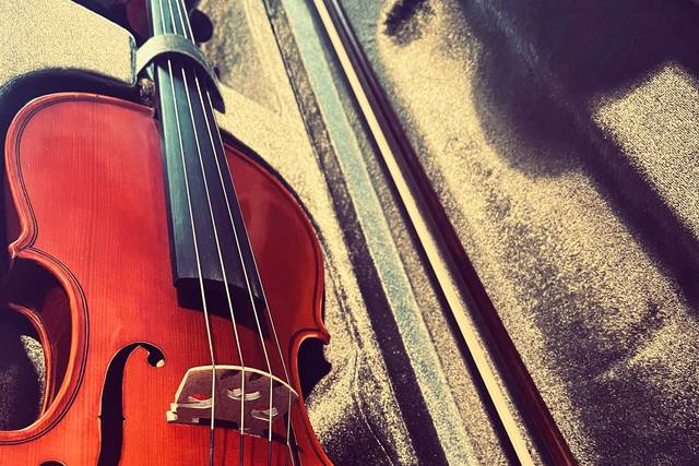 Violino