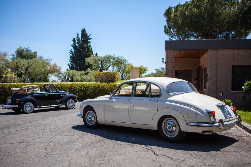 Jaguar mk2