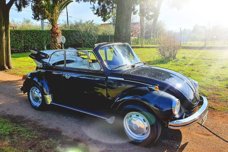 Roma Car 2020