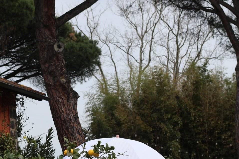 Vespa vintage e ambiente