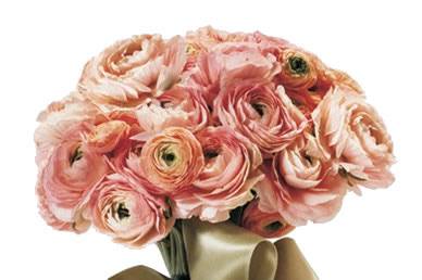 Bouquet rose rosa