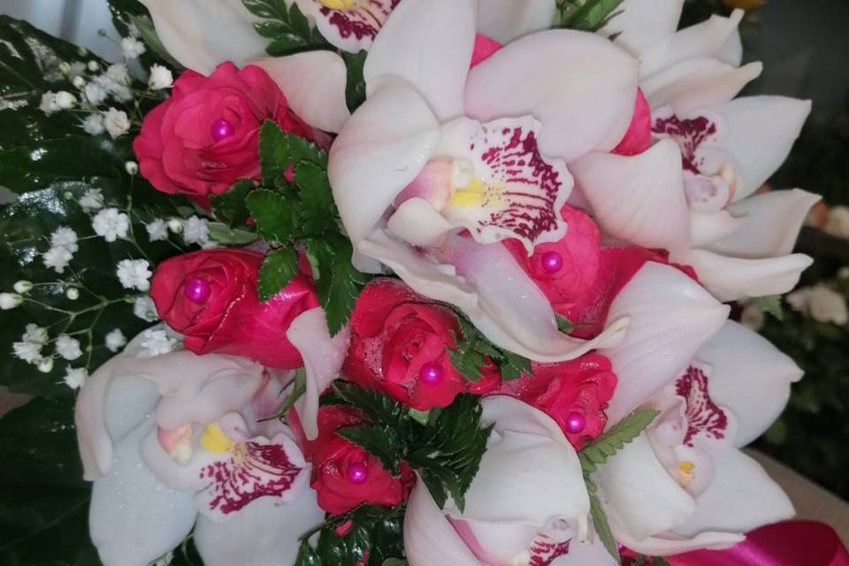 Orchidea e rose fuksia