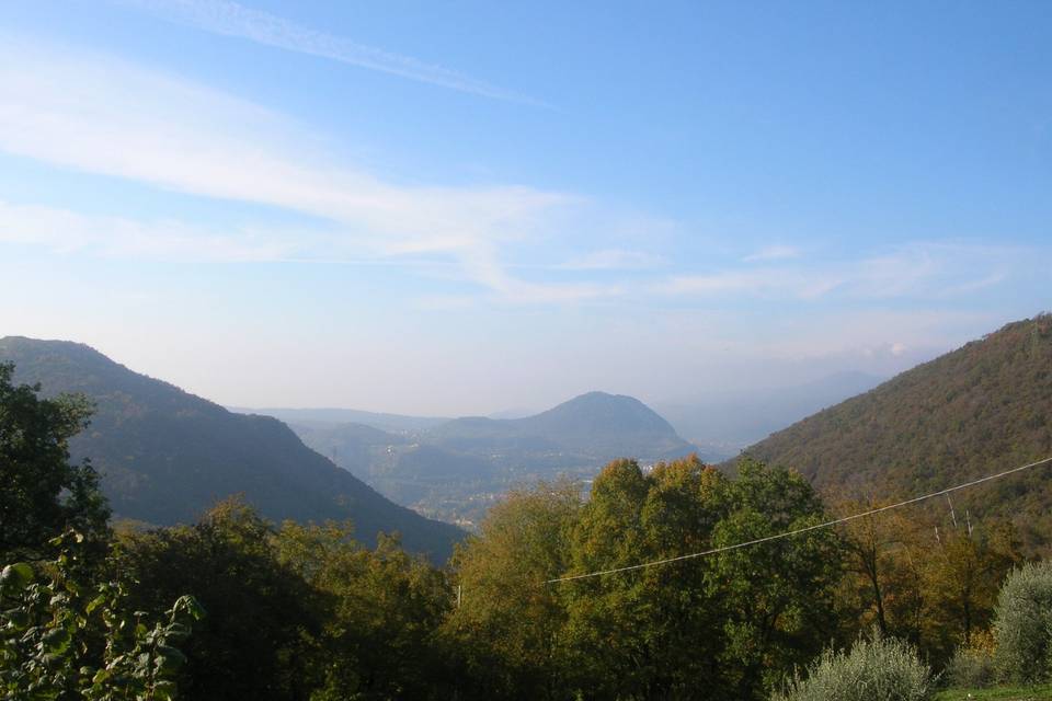 Paesaggio gardesano