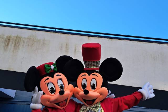 Topolino e Minnie