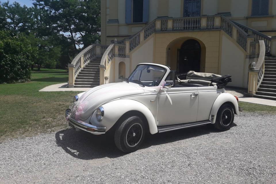 Maggiolino cabrio