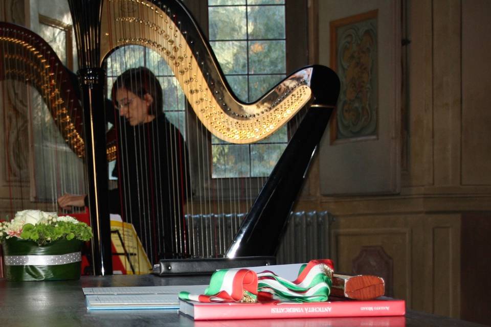 Emotional Harp