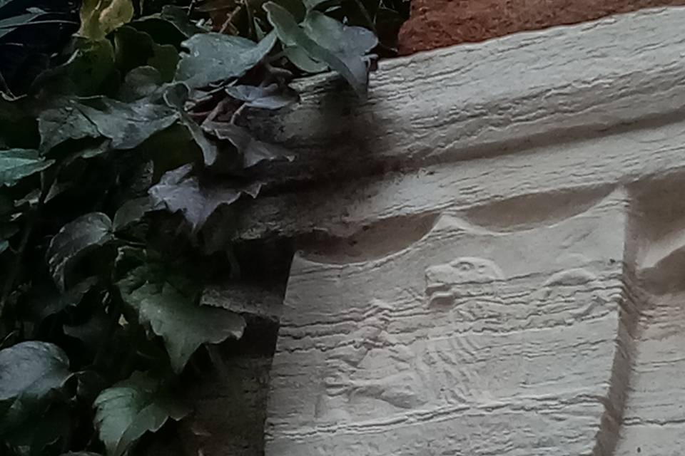 Particolare