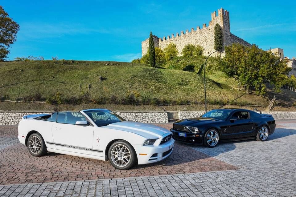 Mustang Lago di Garda