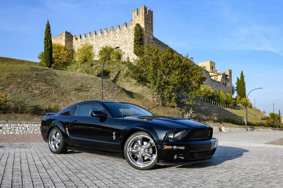 Mustang Noleggio