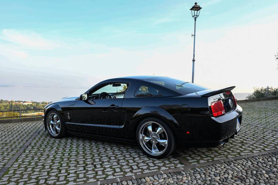 Mustang Black