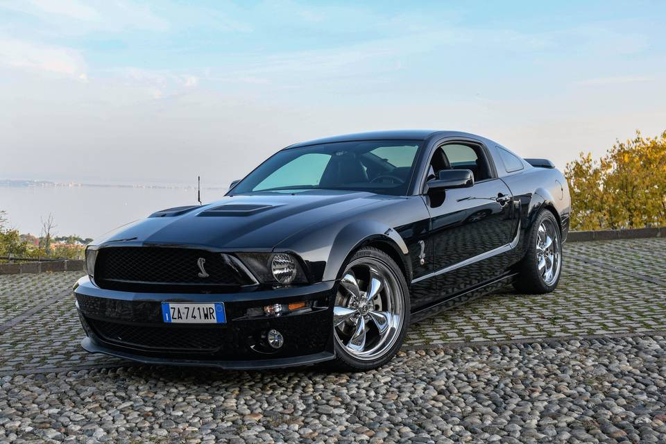 Mustang Nera