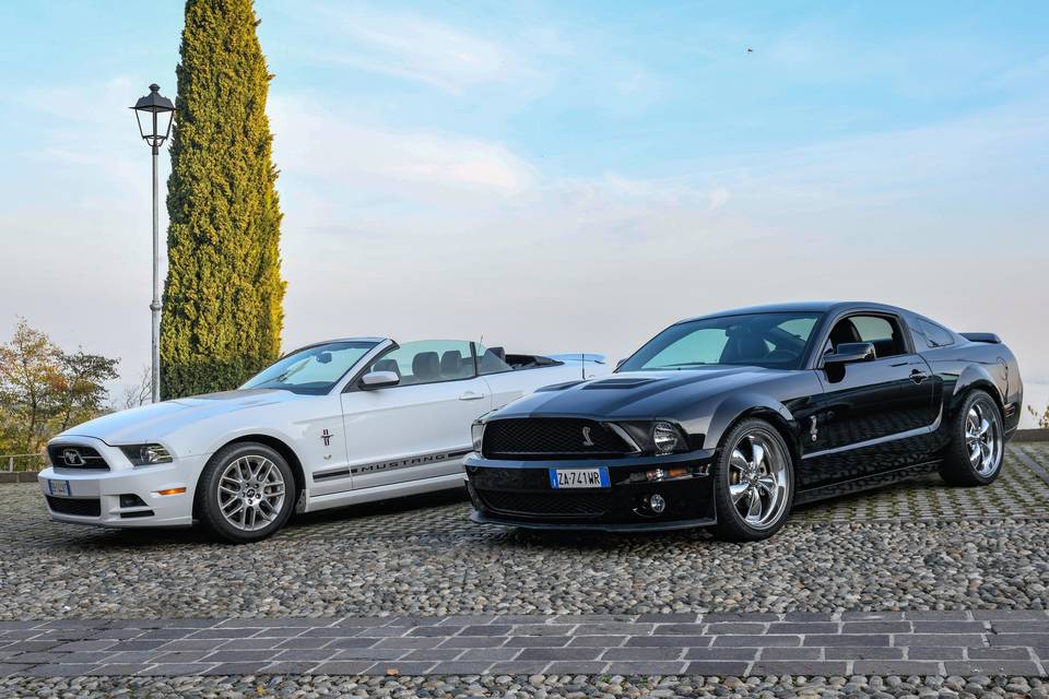 Mustang Noleggio