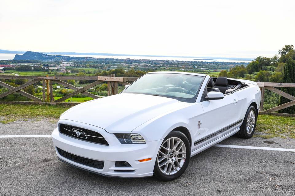 Mustang Convertible