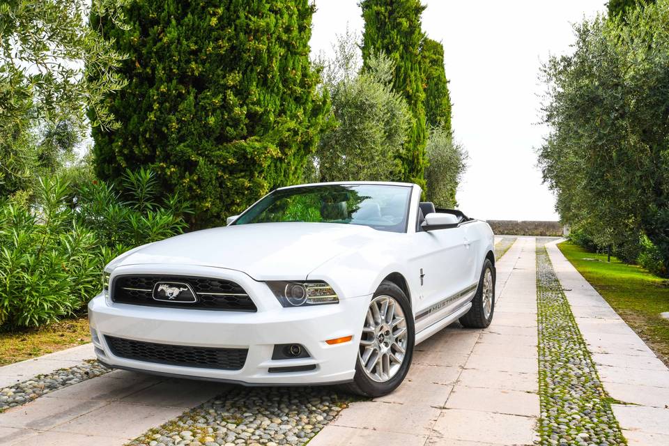 Mustang Cabriolet