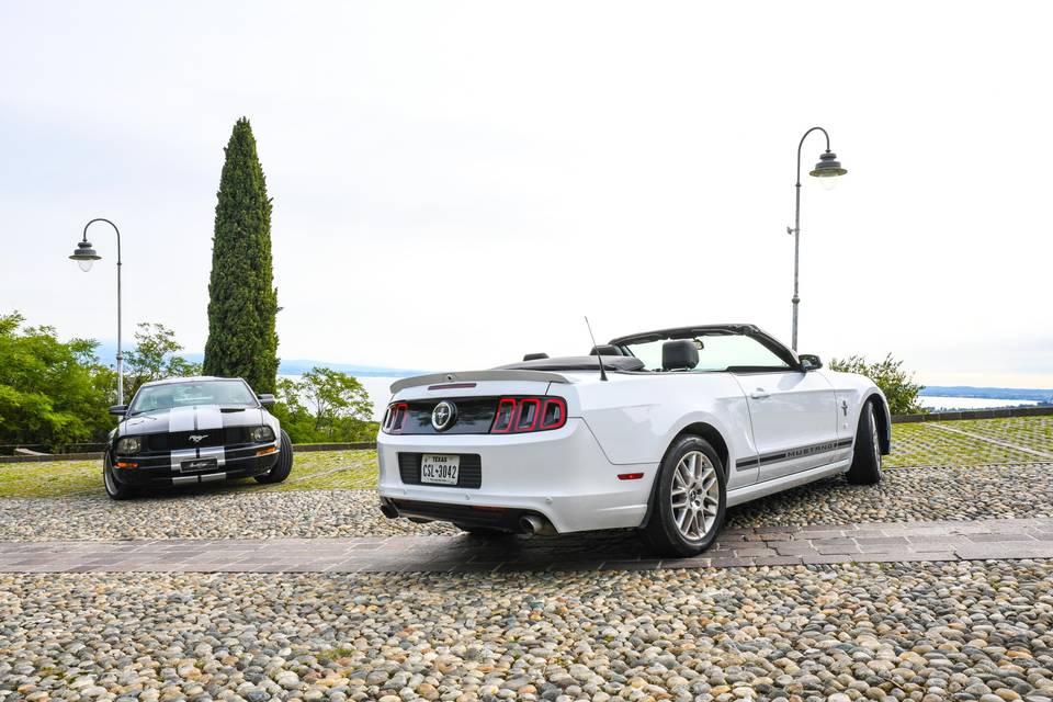 Mustang Black & White