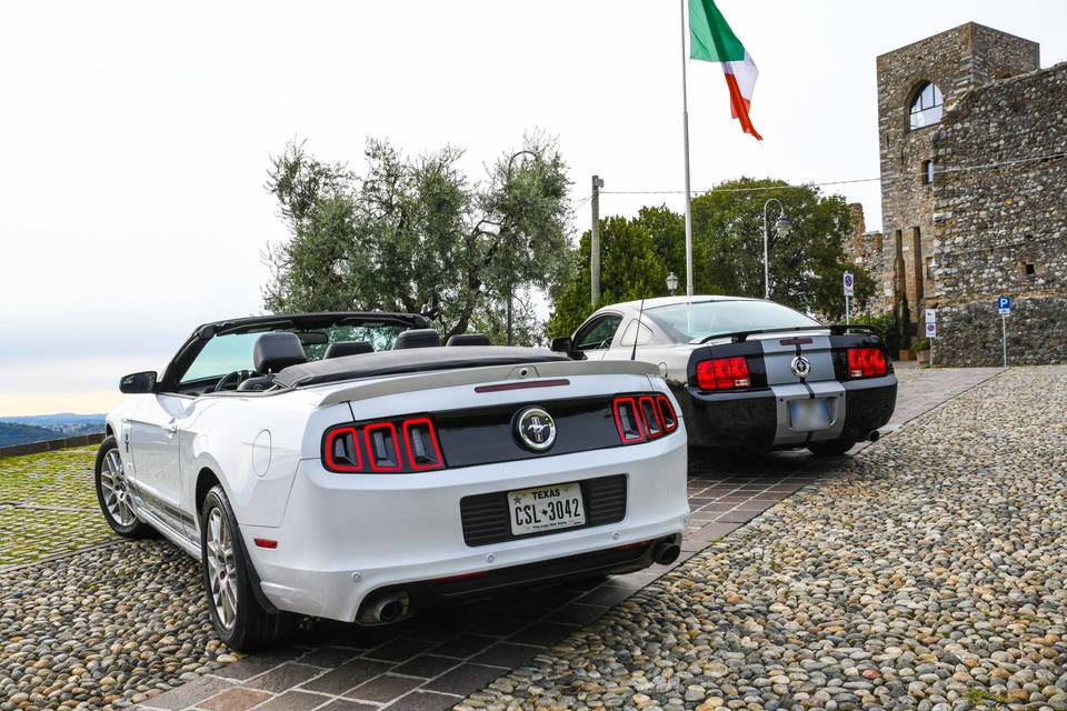 Mustang Noleggio