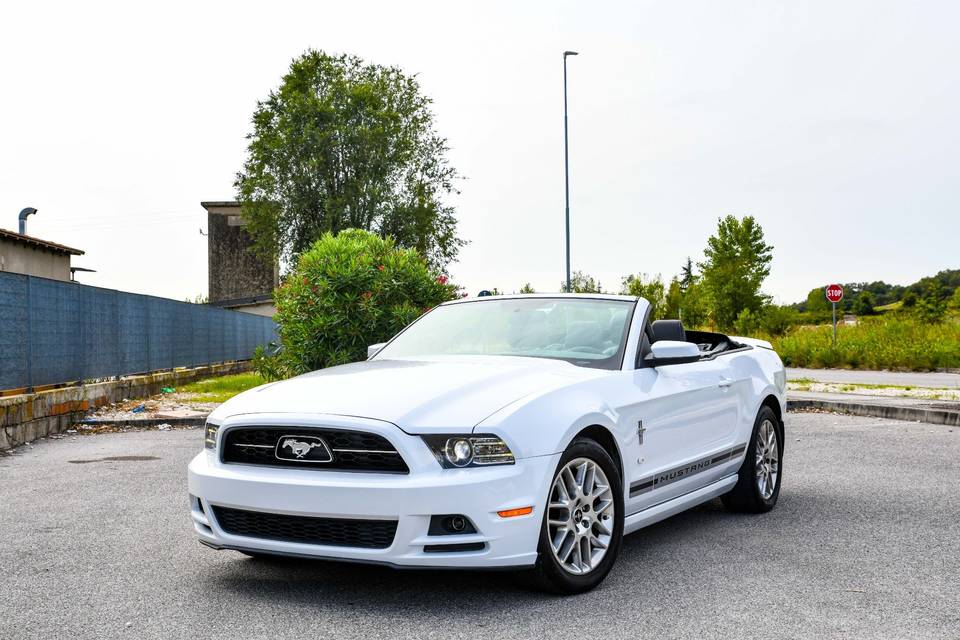 Mustang V6